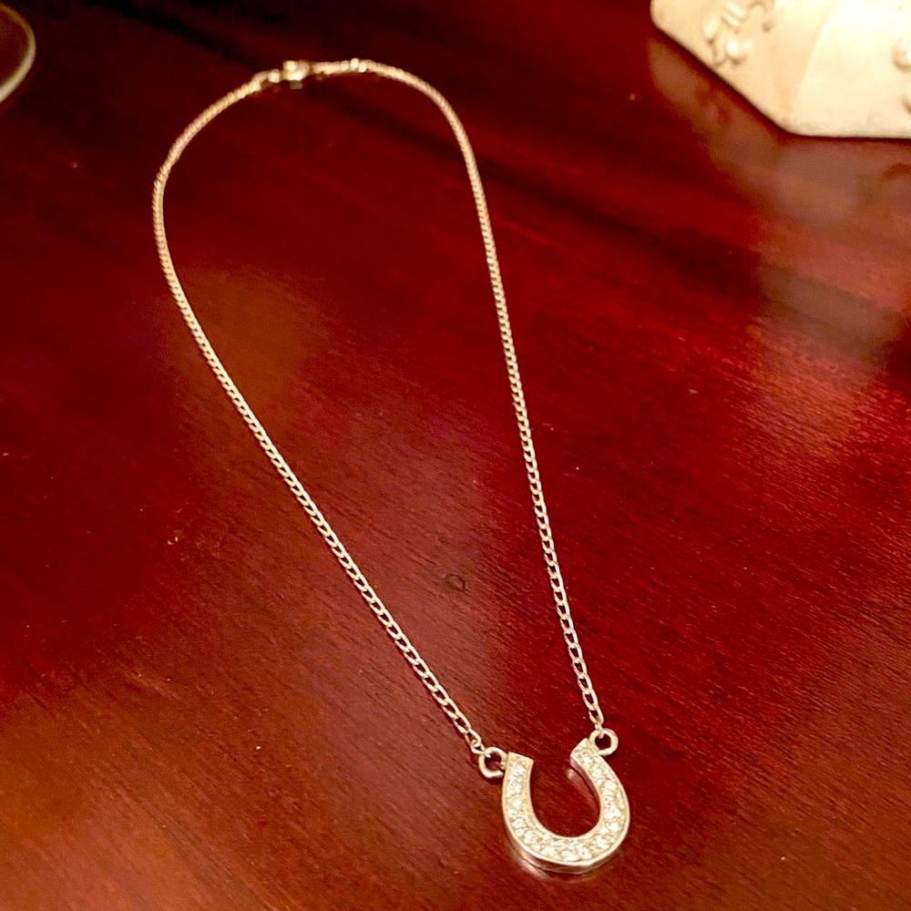 Sterling silver necklace. Pave set quality cz’s in horseshoe shaped pendant